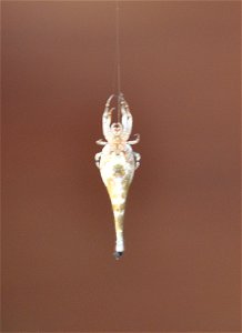 Arachnura higginsi in our grape vine, Bathurst, NSW, Australia.