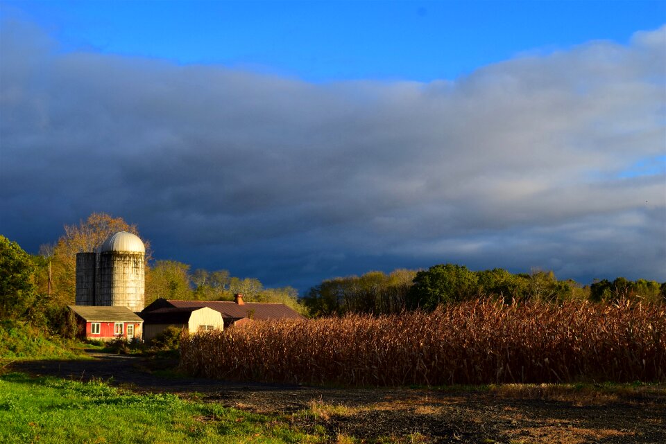 Sunlight autumn clouds photo