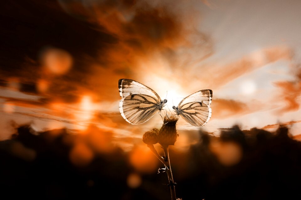 Sky mood sun