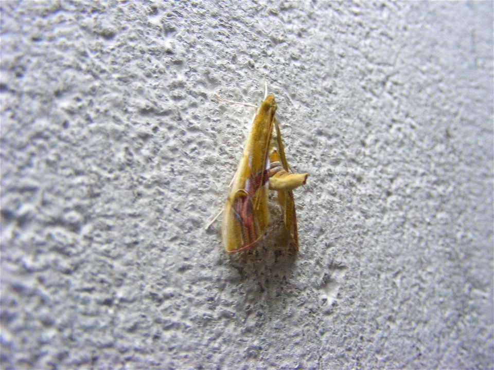 Thanks Roger for id