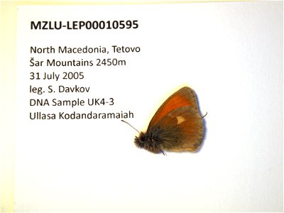 North Macedonia. Tetovo, Šar Mountains 2450m. SystEnt 2009