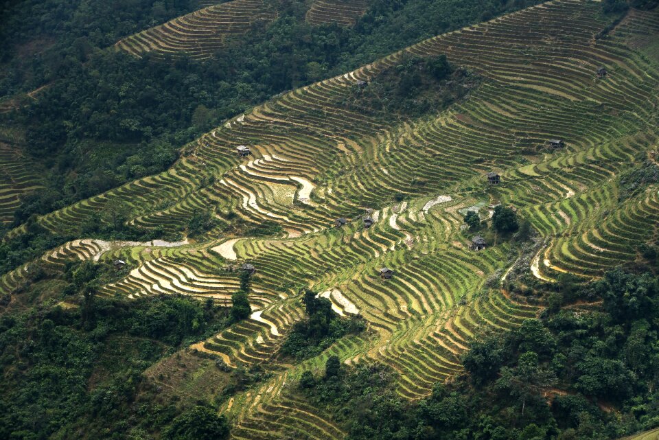 Moc chau magical field