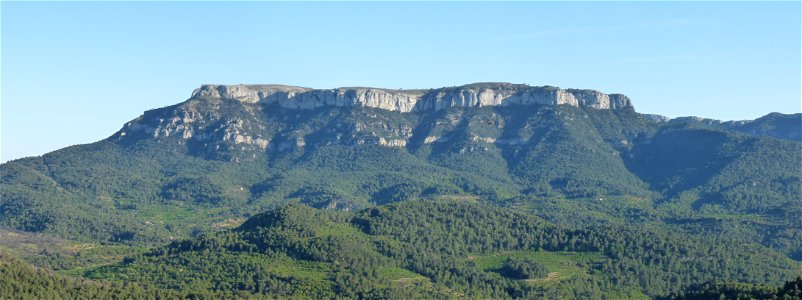 Cara nord de la Mola de Colldejou