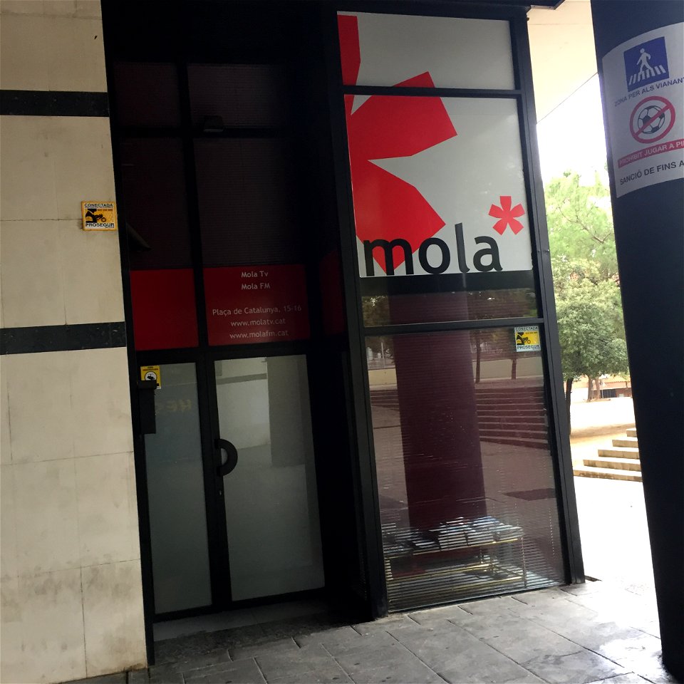 mola TV