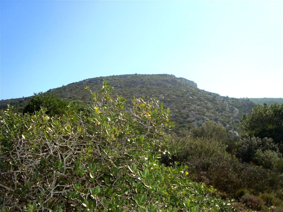 Puig de la Mola from path GR 92-5