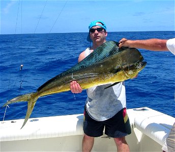 28 lb bull Mahi Mahi caught in Islamorada, 2005