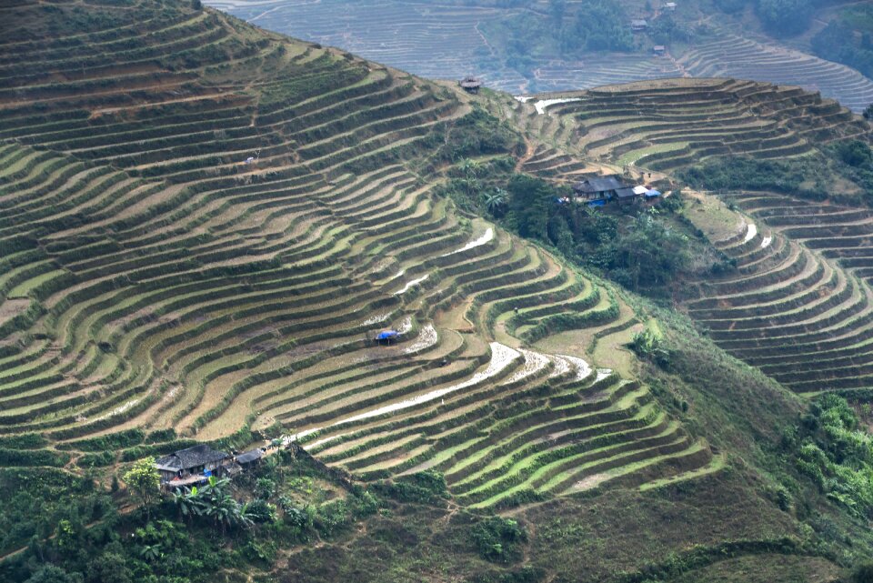 Moc chau magical field