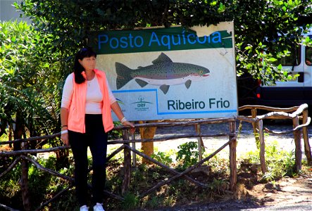 The fish farm (trouts production) in village Ribeiro Frio, central Madeira photo
