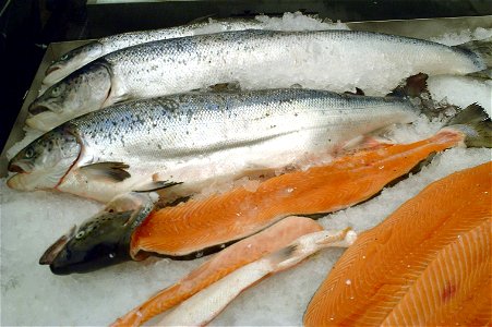 A salmon cut
