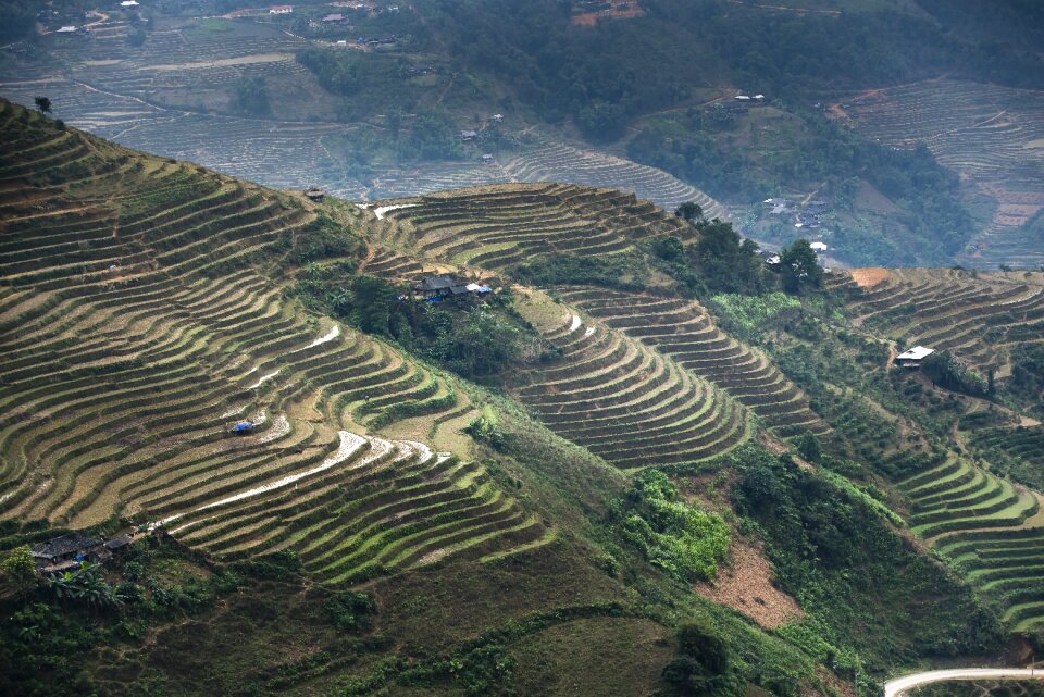Moc chau magical field