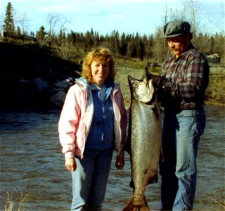 :Image title: "Male and female fishermans with a chrome bright king salmon caught" (Man and woman with king salmon (O. tshawytscha)
Image from Public domain images website, http://www.public-domain-im