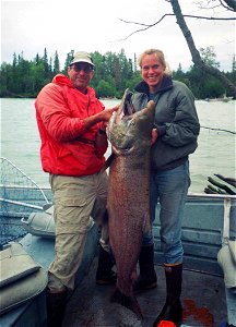 Image title: "Man and woman fishing with lage king salmon caught" (Man and woman with king salmon (O. tshawytscha)
Image from Public domain images website, http://www.public-domain-image.com/full-imag