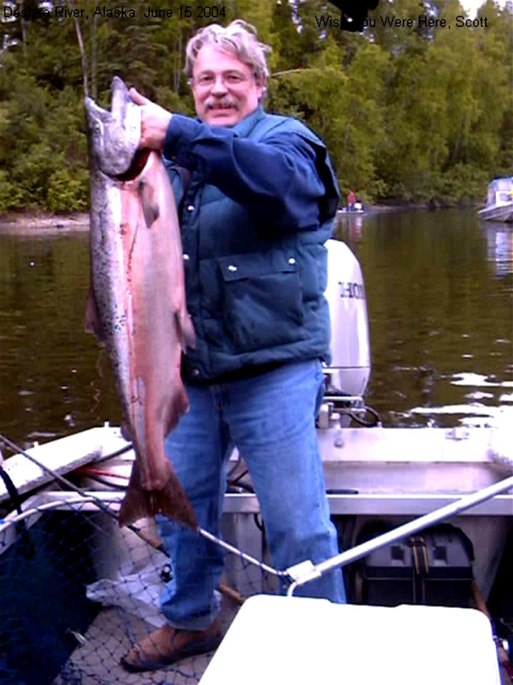 Recreational salmon fishing for King or Chinook Salmon (O. tshawytscha)
Image title: "Recreational salmon fishing for kings or also called chinook black or blackmouth"
Image from Public domain images 