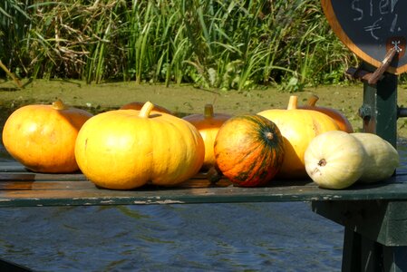 Food harvest decoration