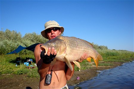 Dmitry Fadeev with a carp photo