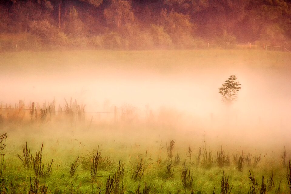 Dawn fog mist photo