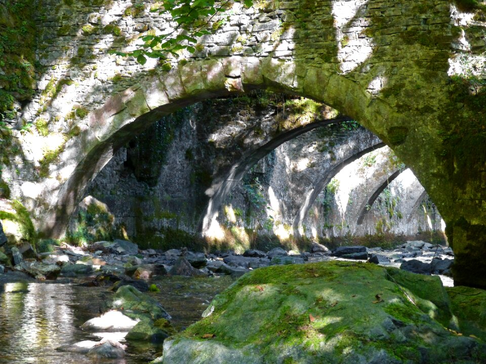 Pyrenees arches trees
