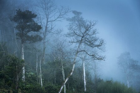 Ha giang background page