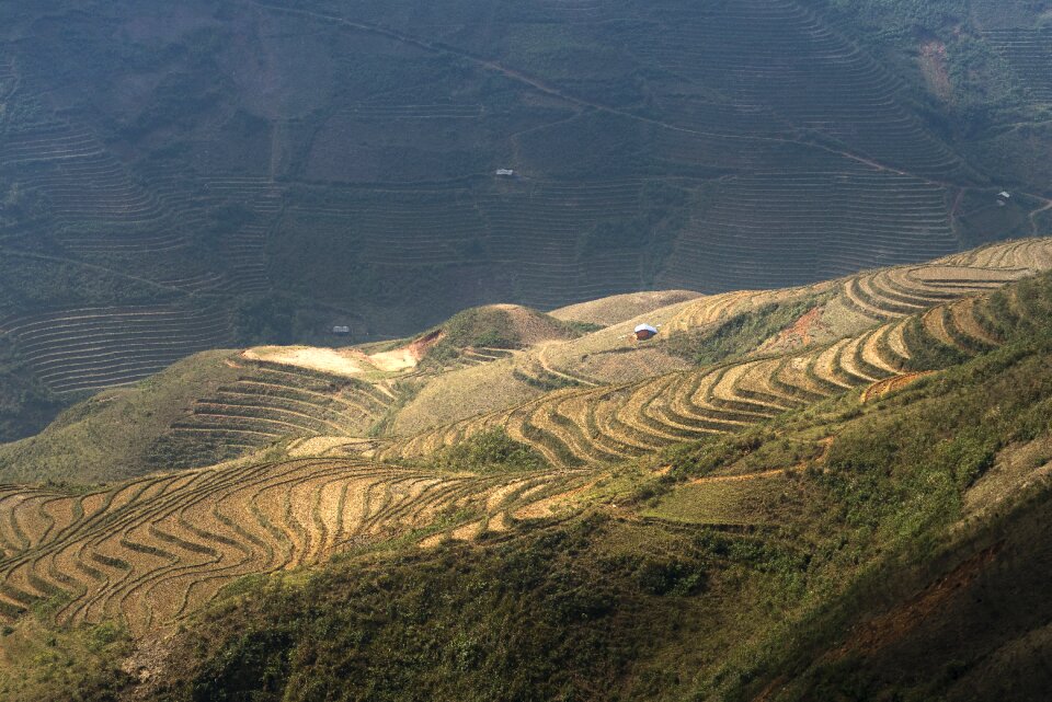 Moc chau magical field