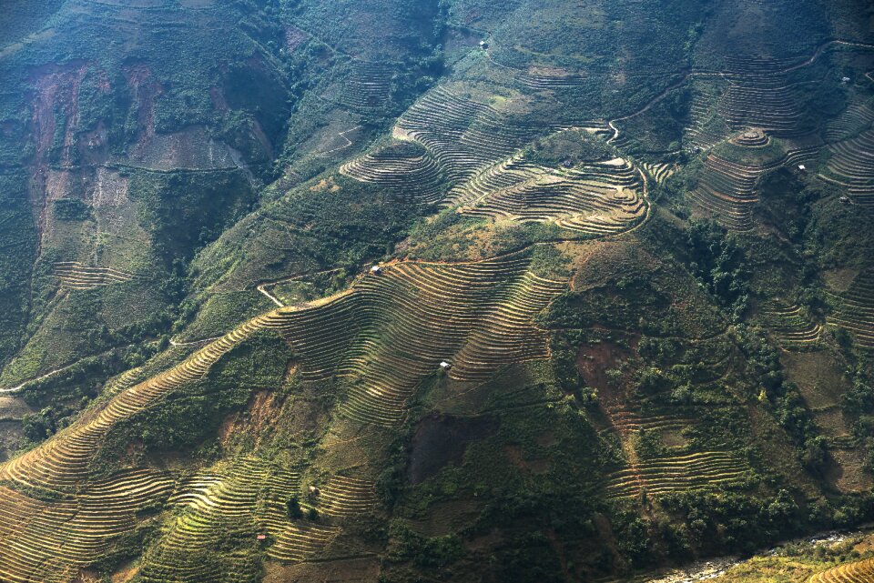 Moc chau magical field