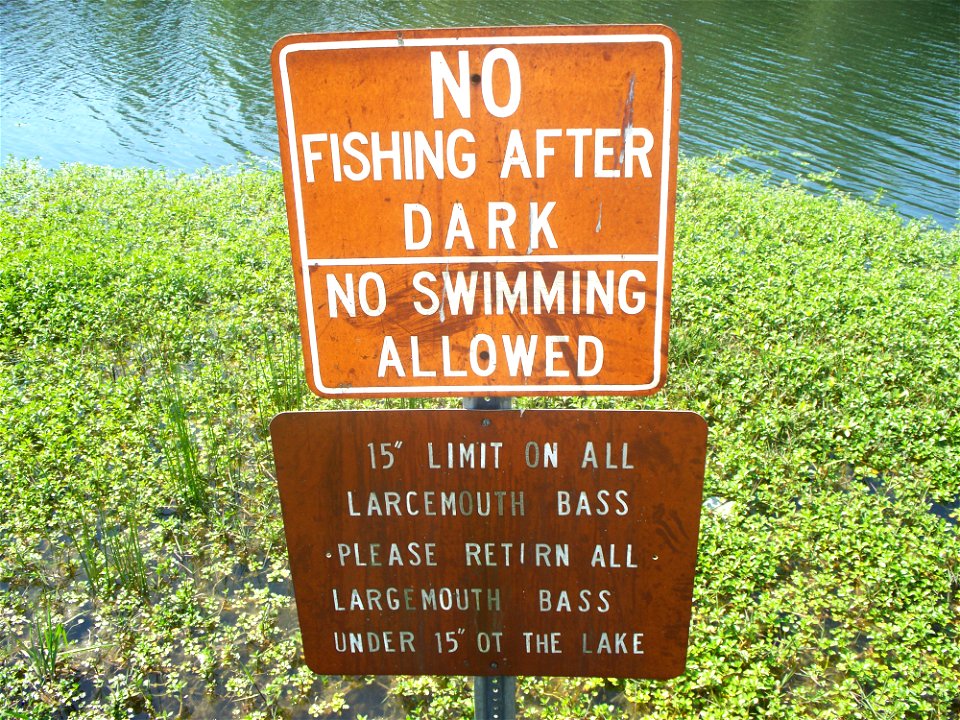 Please retırn all largemouth bass under 15" ot the lake. Sign in a park.