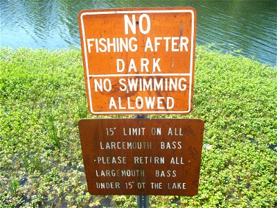 Please retırn all largemouth bass under 15" ot the lake. Sign in a park.