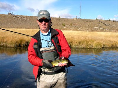 Brown Trout from Goose Lake Meadows on the Firehole River, Yellowstone National Park photo