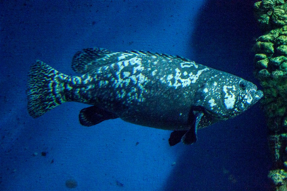 Oceanarium in Nyíregyháza Zoo