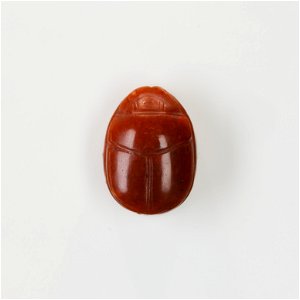 Scarab, Tilapia Fish