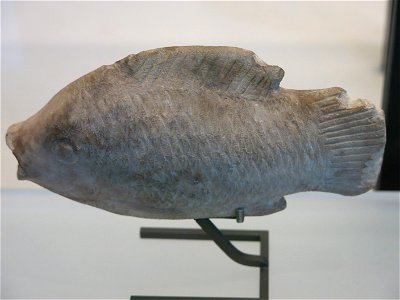 Tilapia nilotica (Oreochromis niloticus), Limestone, New kingdom of Egypt (1550-1069 BC). Louvre museum (Paris, France).