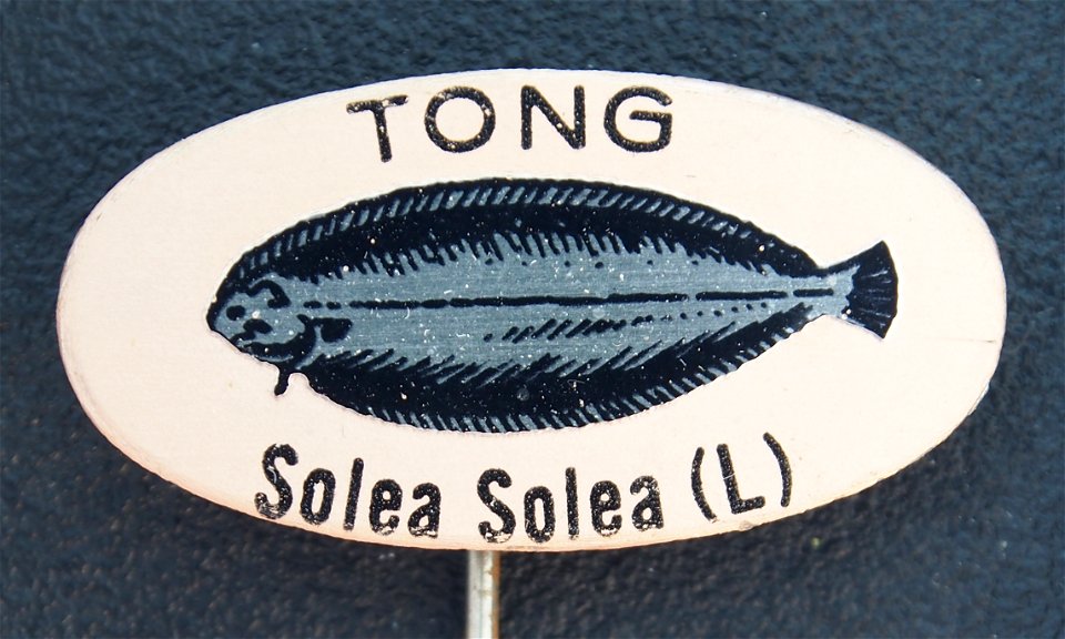 Photograph of an advertising pin of a product that is not sold anymore.