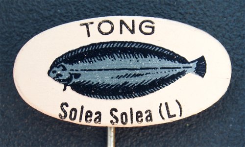 Photograph of an advertising pin of a product that is not sold anymore.