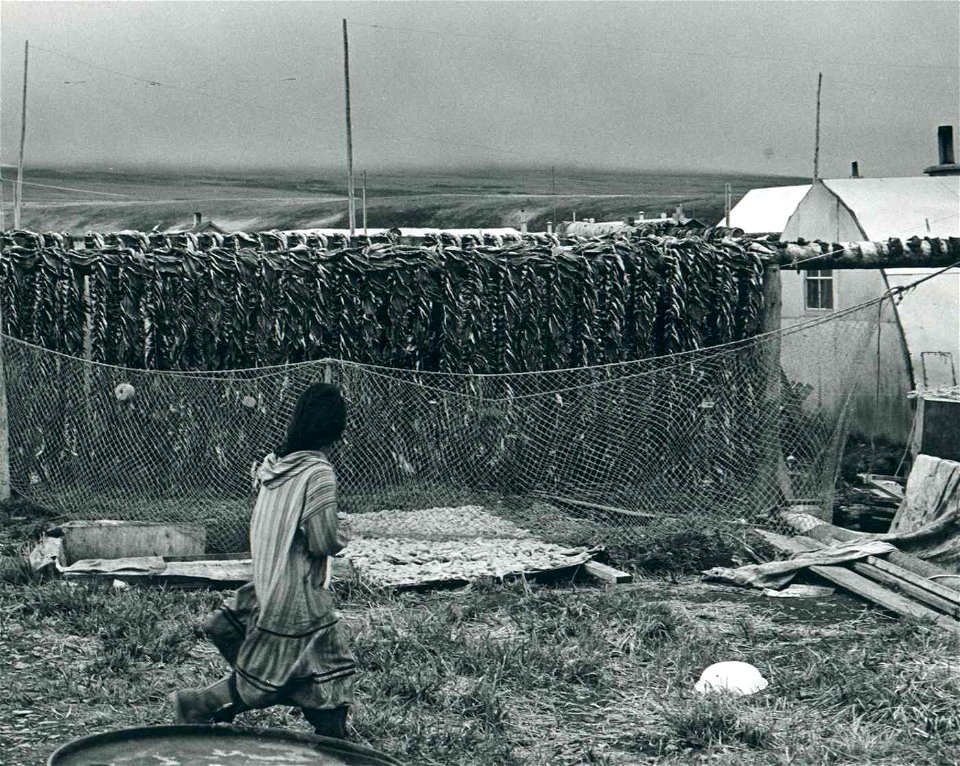 Image title: Vintage photo of female walking by herring racks in the village
Image from Public domain images website, http://www.public-domain-image.com/full-image/vintage-photography-public-domain-im