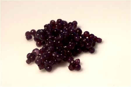 caviar of the lumpfish photo