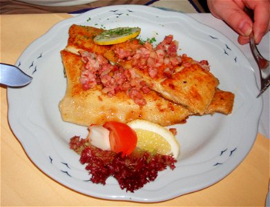 Scholle Finkenwerder Art