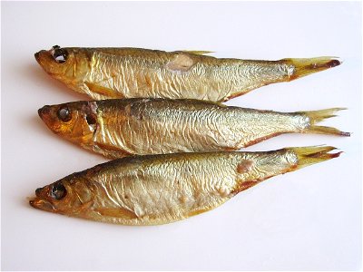 Some smoked European sprats, in Germany called ‚Kieler Sprotten‘.