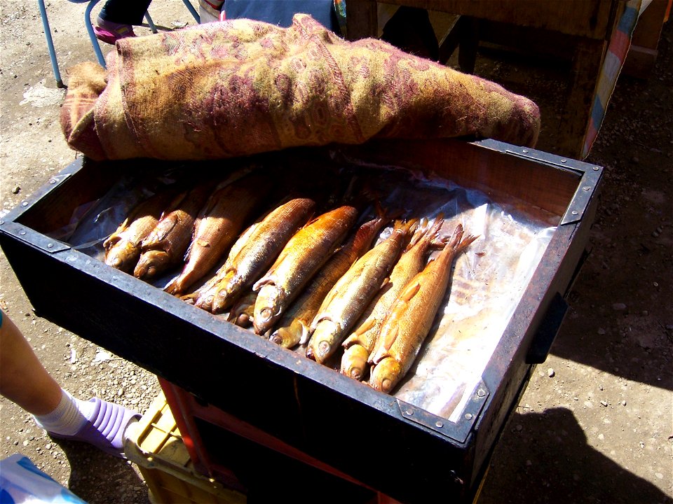 Omul on market in Listvyanka, Baikal