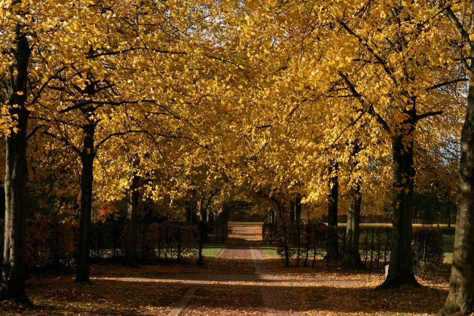 Emerge avenue promenade