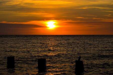 Sunset sea ocean photo