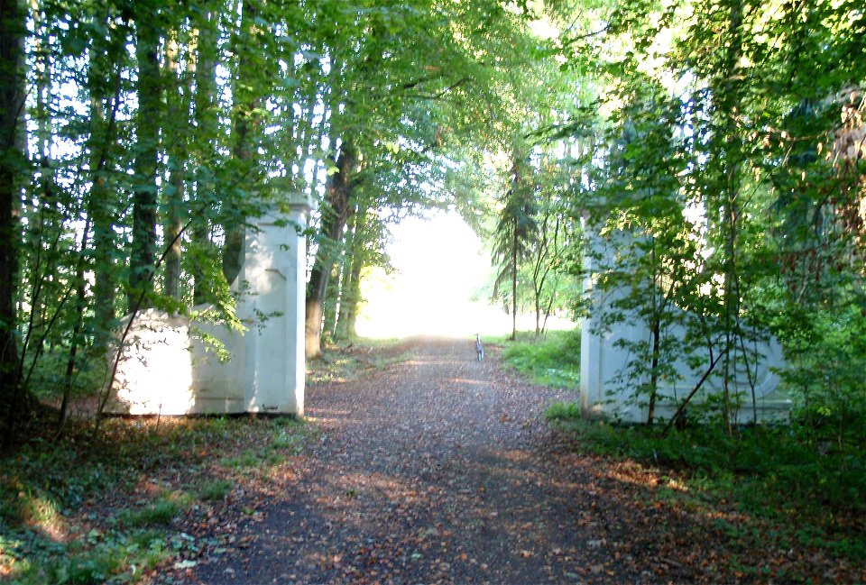 Foto des weißen Tores an der Straße Zur Sonnenuhr im Birlinghovener Wald, Blickrichtung nach Osten zum Ort Birlinghoven.