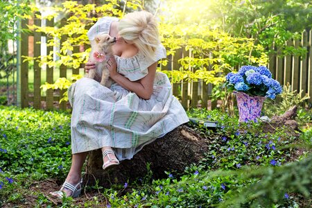 Pomeranian cute happy