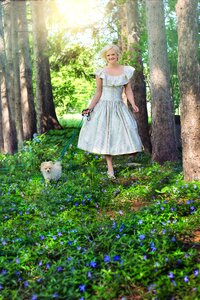 Spring summer pomeranian dog