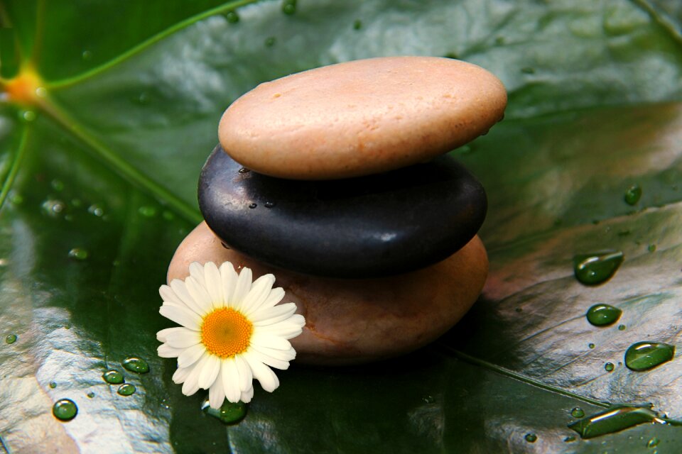 Drop of water stones flower