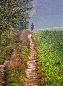 Movement human runners