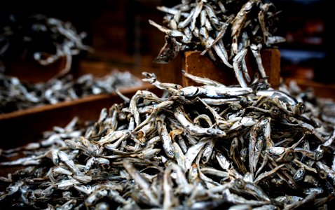 Dried myeolchi (anchovies) for broth photo