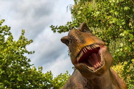 Dino reptile predator photo