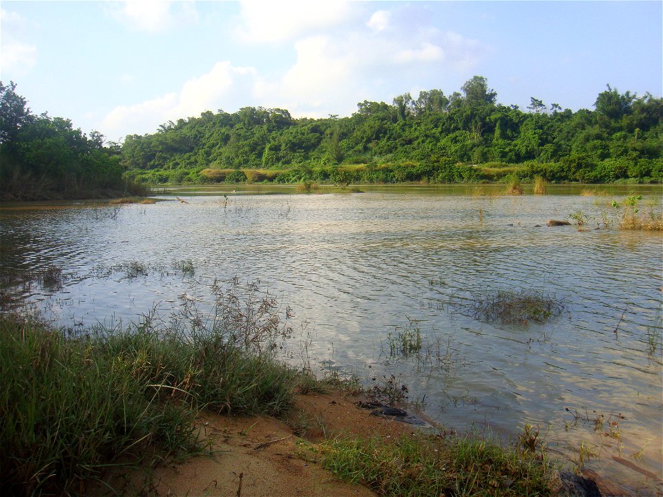 West bank of the Nandu River near Longtang, Hainan, China