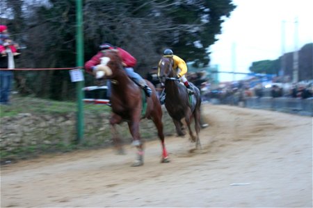 Palio di Buti - un momento della corsa del 2007