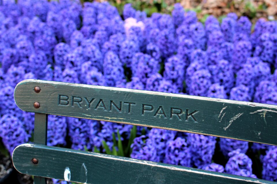 Flowers park new york