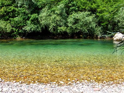 L'endroit, sur la Neretva, en Bosnie-Herzétovine, où la truite aux lèvre molles (Salmo obtusirostris) a été capturée le 22 juillet 2004 photo